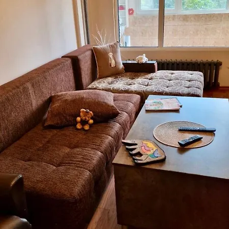 Apartment Stylish Apt, Free Parking, Near Center & Airport *